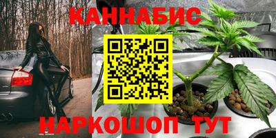 крисы Волжск