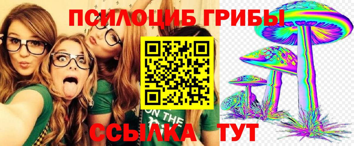 Дербент  Псилоцибиновые грибы ЛСД  Псилоцибиновые грибы GOLDEN TEACHER  Вход с VPN 