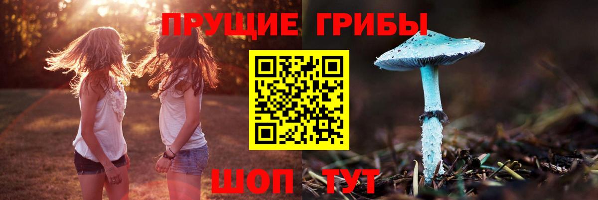 Галлюциногенные грибы MAGIC MUSHROOMS Дербент